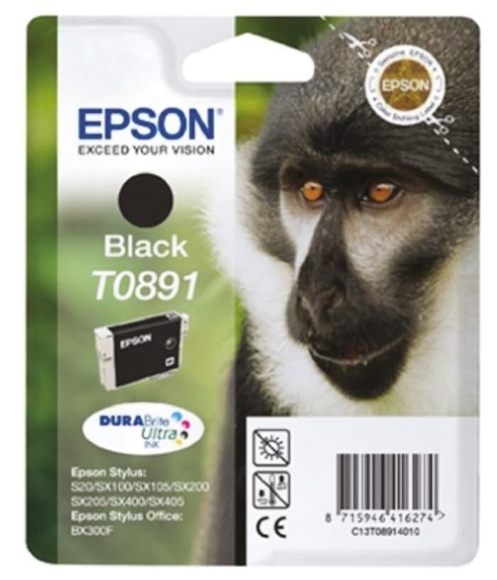 Epson T0891 Mürekkep Kartuşu, Siyah